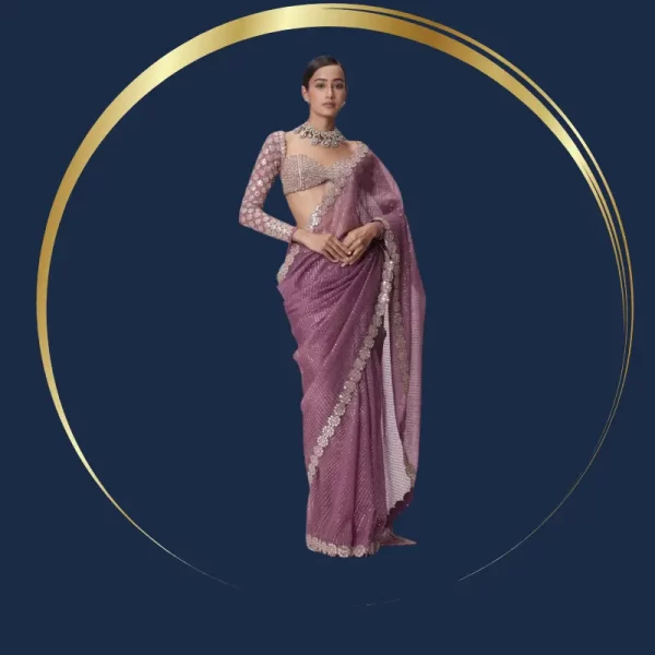 Bollywood Blockbuster Original Mirror Design Saree